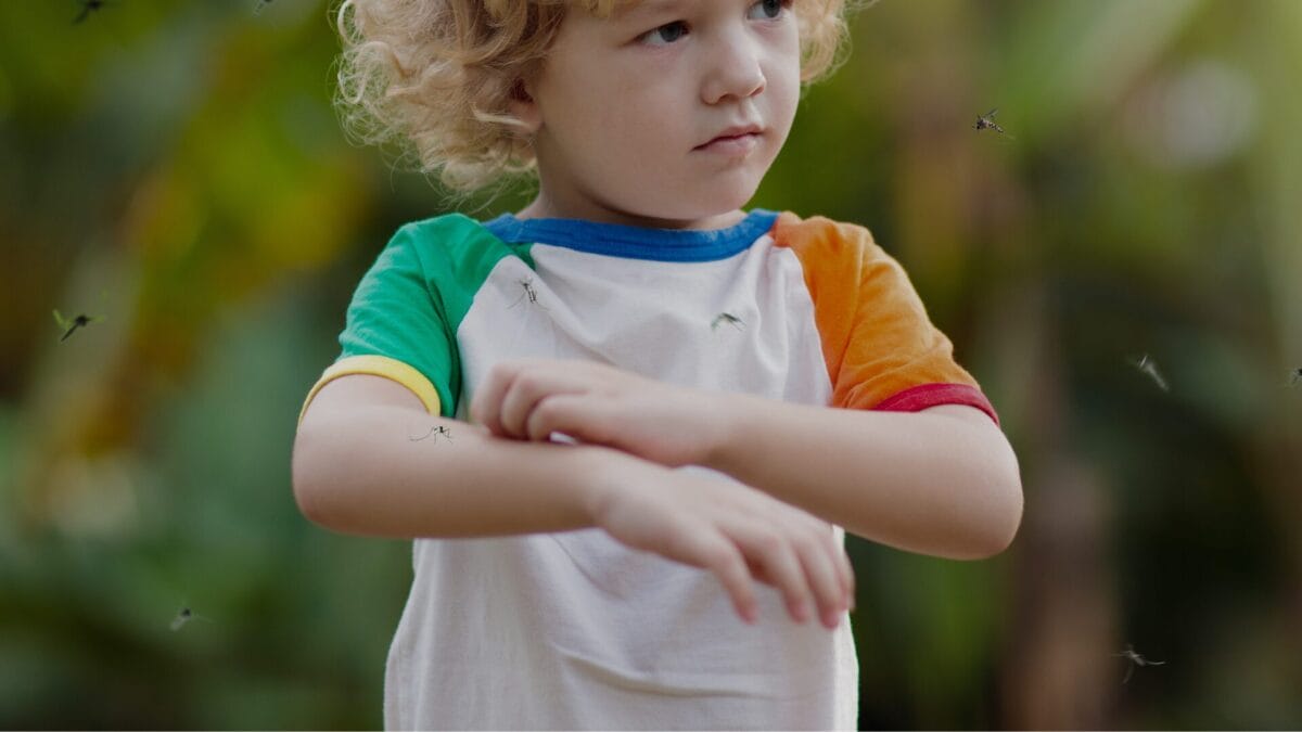 toddler scratching mosquito bites
