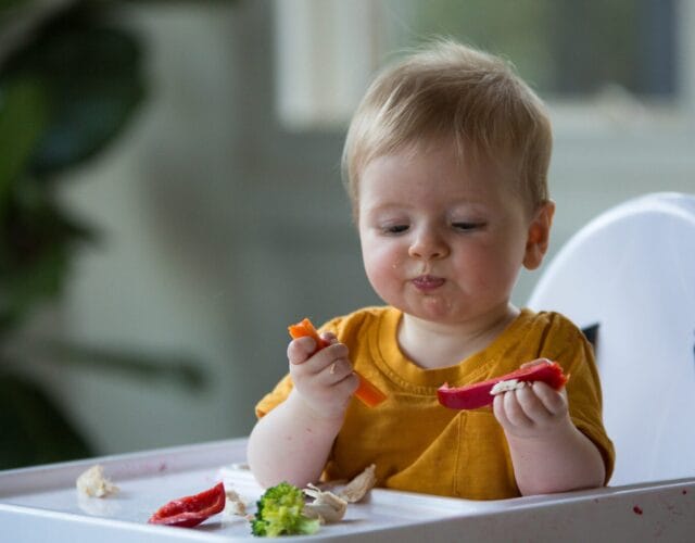 Child Eating Vegitables
