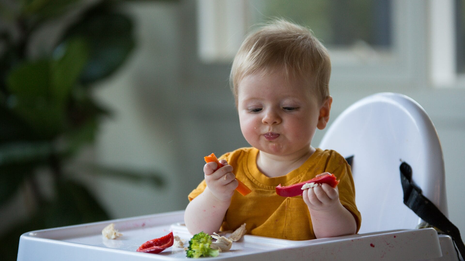 Child Eating Vegitables